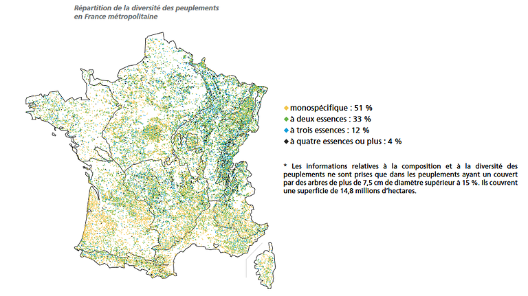 Carte de France de l'ONF illustrant la diversité des peuplements d'arbres en France