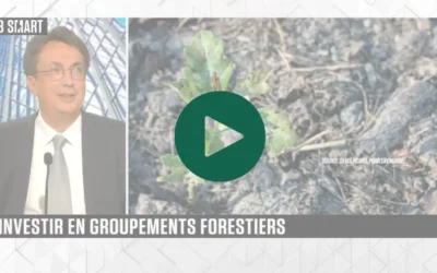 Smart Patrimoine sur l’investissement en Groupements Forestiers