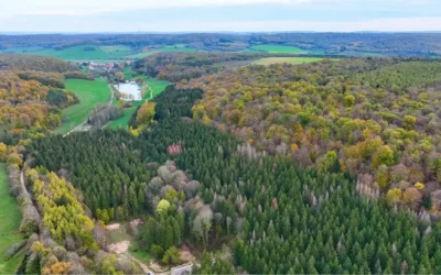 France Valley rejoint l’International Sustainable Forestry Coalition : une étape majeure pour un investissement durable dans la forêt.